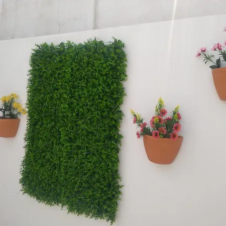 דירה Casa Dos Avos אלבור